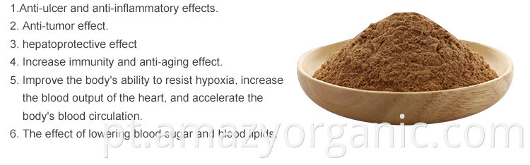 Puro pó de extrato de cogumelo orgânico natural reishi